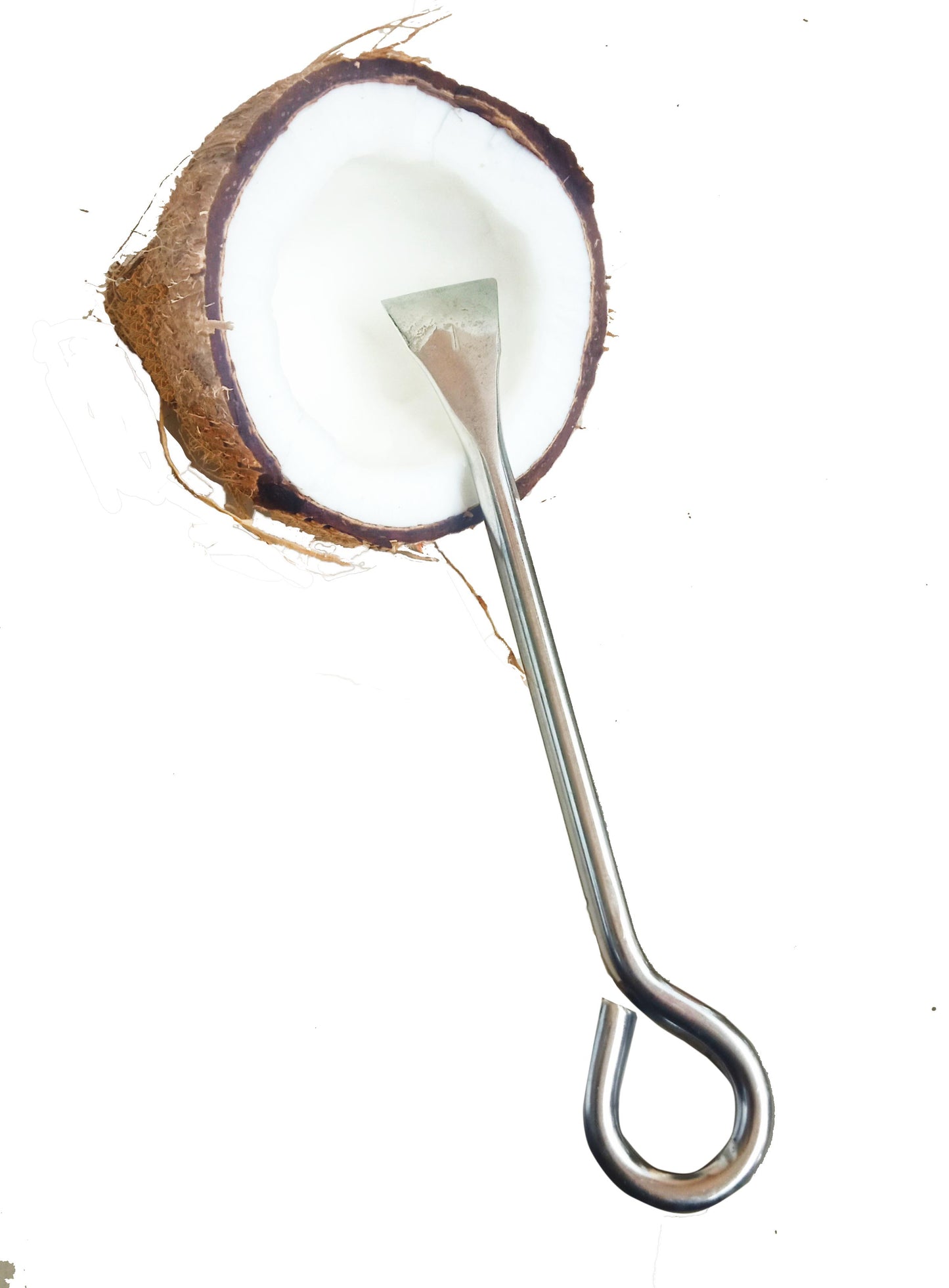 Stainless Steel Coconut Scrapper / Peeler / Opener