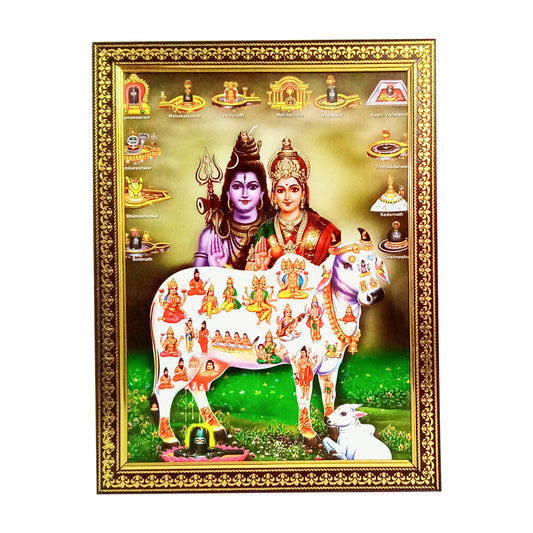 Lord Shiva Ma Parvati with Cow - All Devatas for your Pooja Ghar / Home / Office (10 Inches * 12.5 Inches)